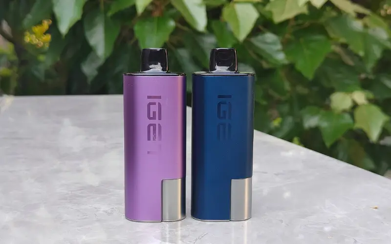 Technical Layout of IGET Internal Components