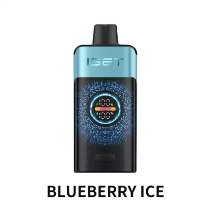IGET ONE 12000 - Blueberry Ice