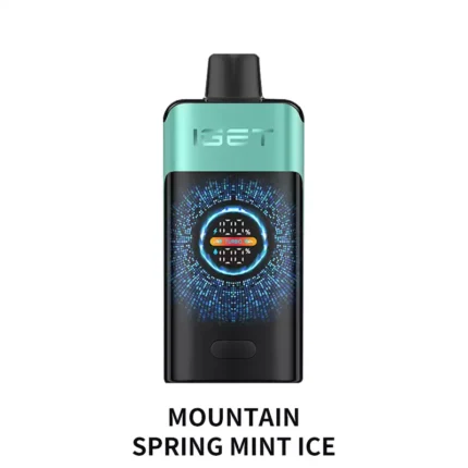 IGET ONE 12000 - Mountain Spring Mint Ice