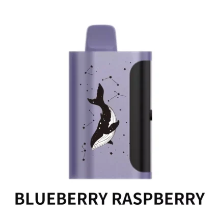 PICCO STAR 40000 - Blueberry Raspberry