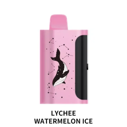PICCO STAR 40000 - Lychee Watermelon Ice