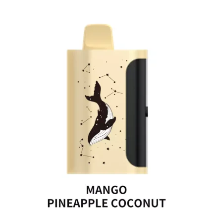 PICCO STAR 40000 - Mango Pineapple Coconut